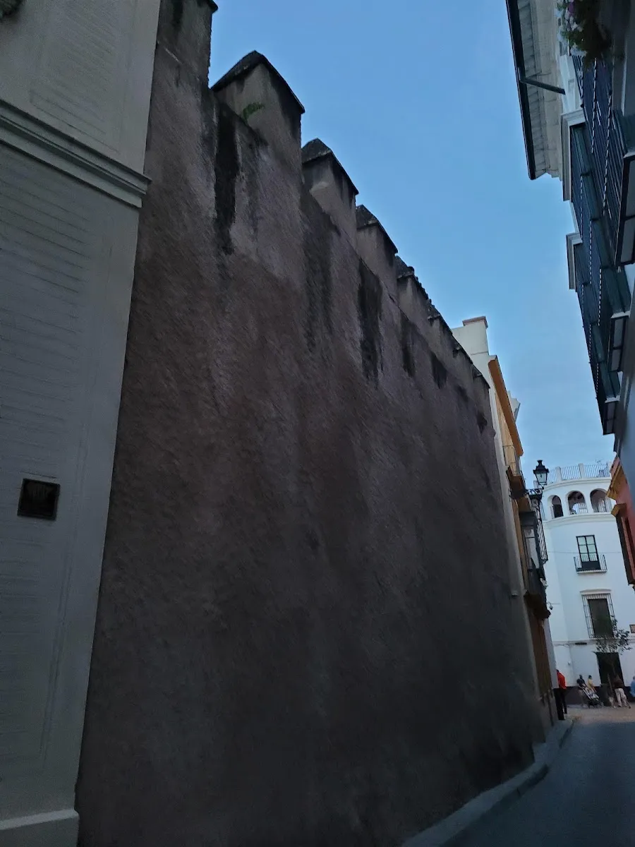 Restos de la Muralla de la Judería de Sevilla — foto 7