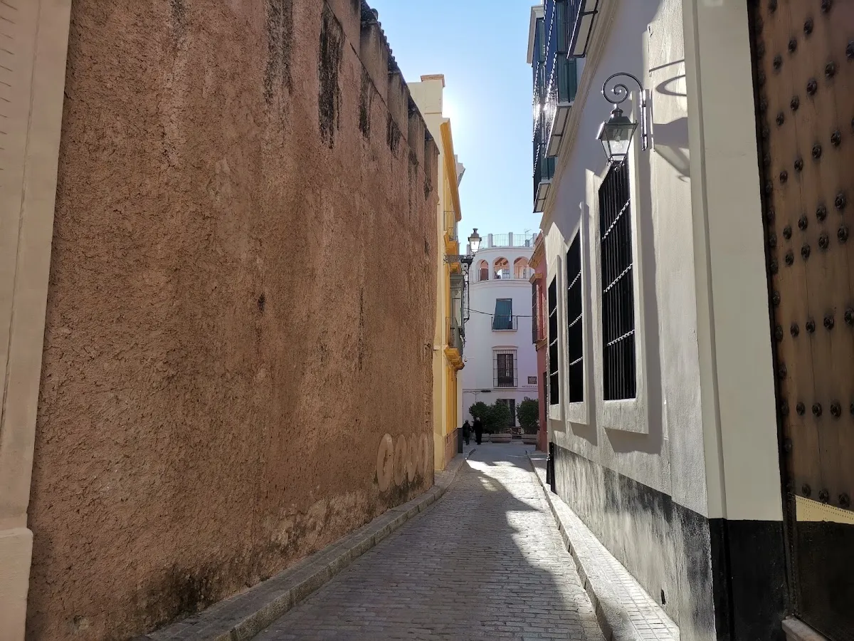 Restos de la Muralla de la Judería de Sevilla — foto 8