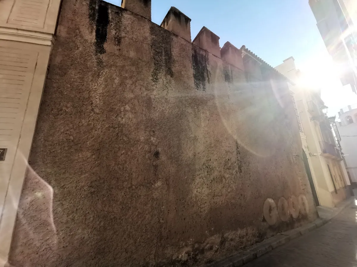 Restos de la Muralla de la Judería de Sevilla — foto 9
