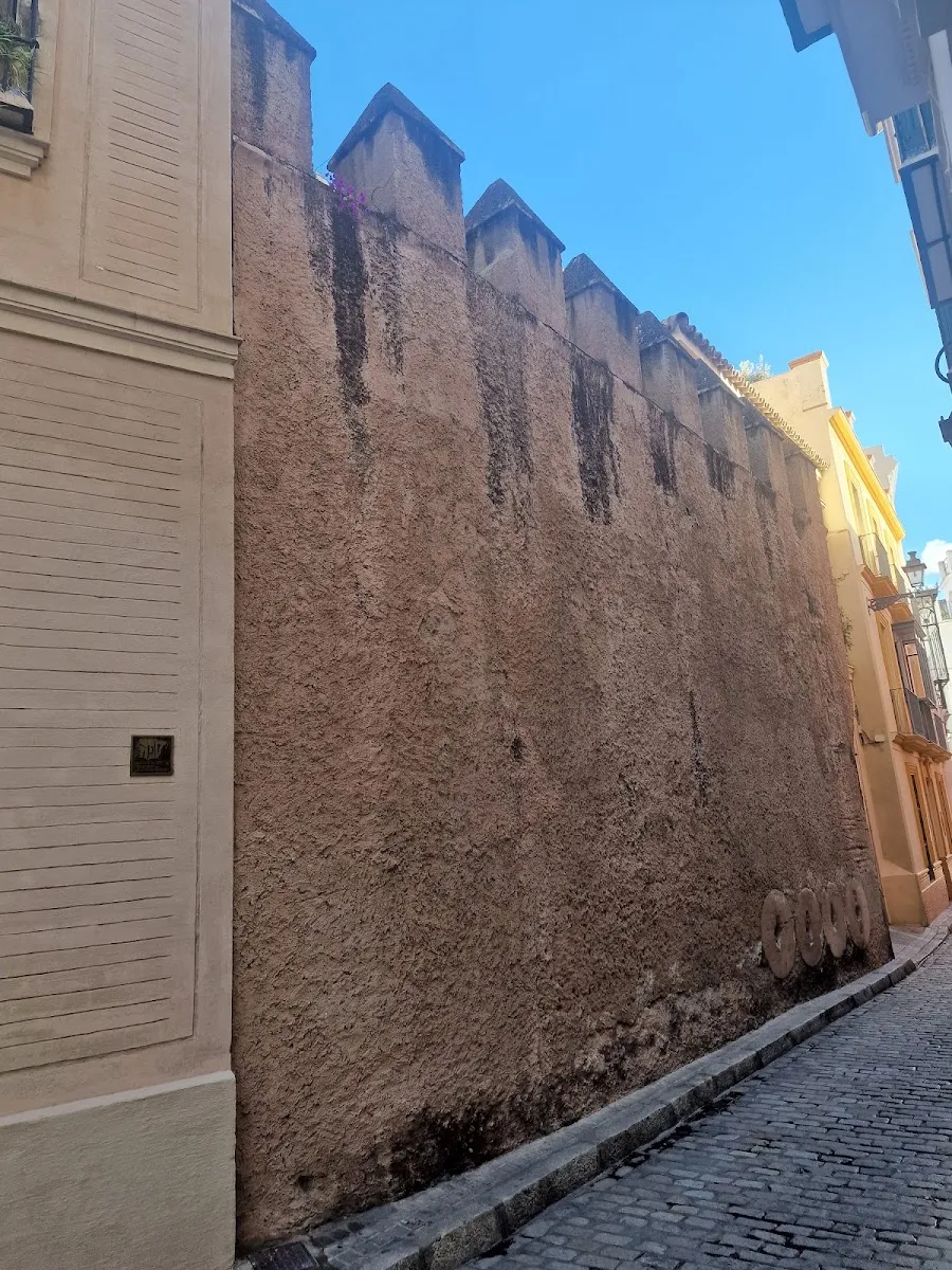 Restos de la Muralla de la Judería de Sevilla — foto 10