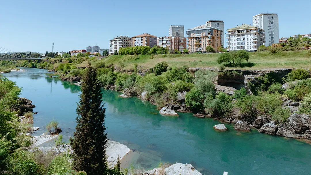 River Kosher Restaurant — foto 4