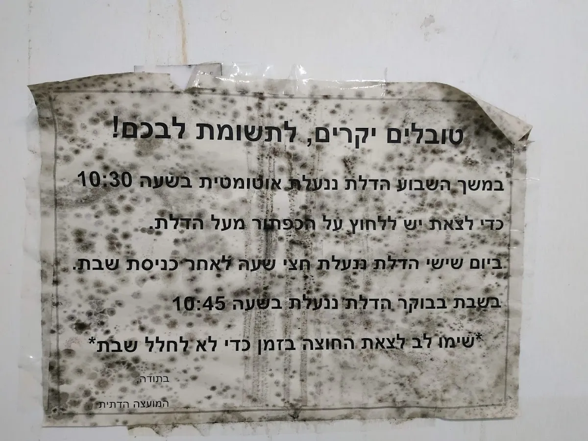 Rosh Yehudi Synagogue — foto 6