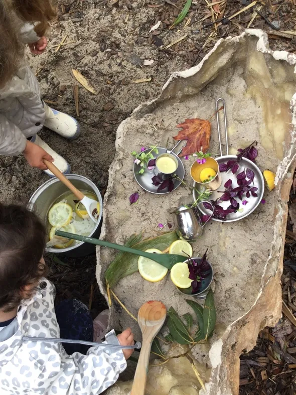 Ruth Landau Harp Early Learning — foto 10