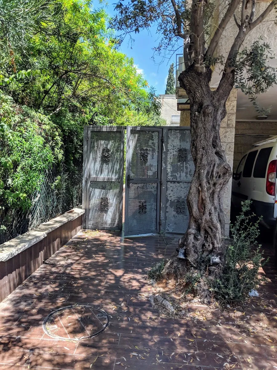 Sadigura Knesset Mordechai Synagogue — foto 6