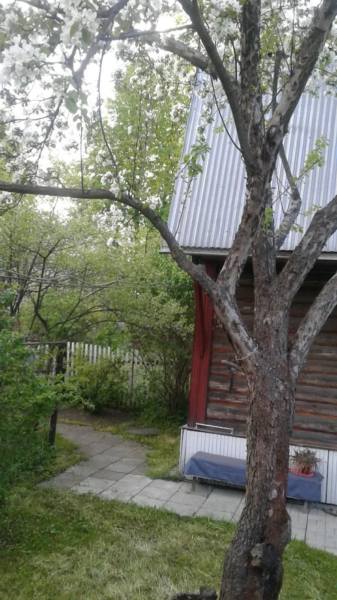 Saltykovskaya Jewish Community — foto 5