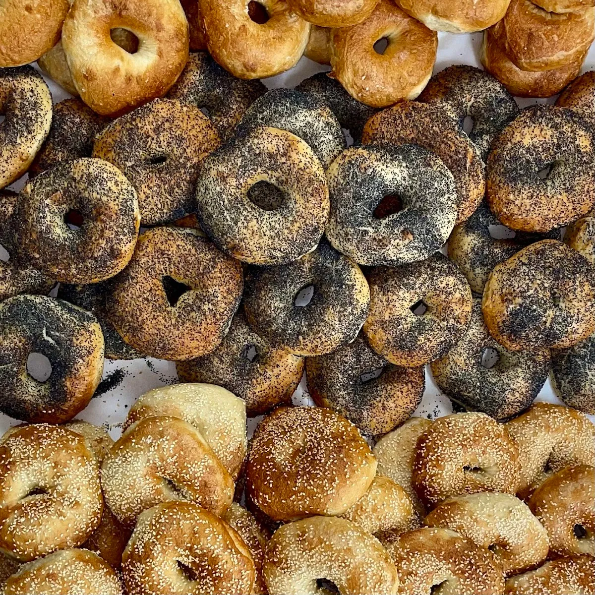 Sams Bagels NZ — photo 8