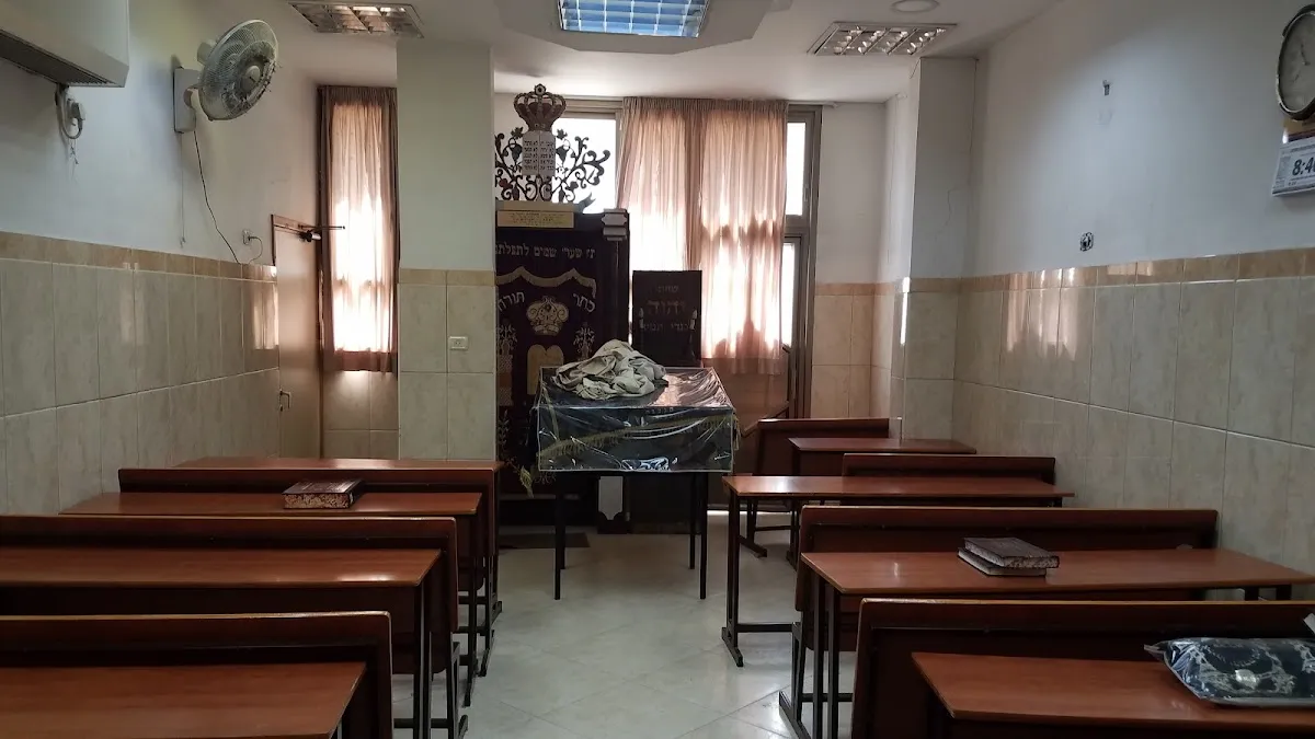 Sanz Synagogue (Rabbi Weiss)