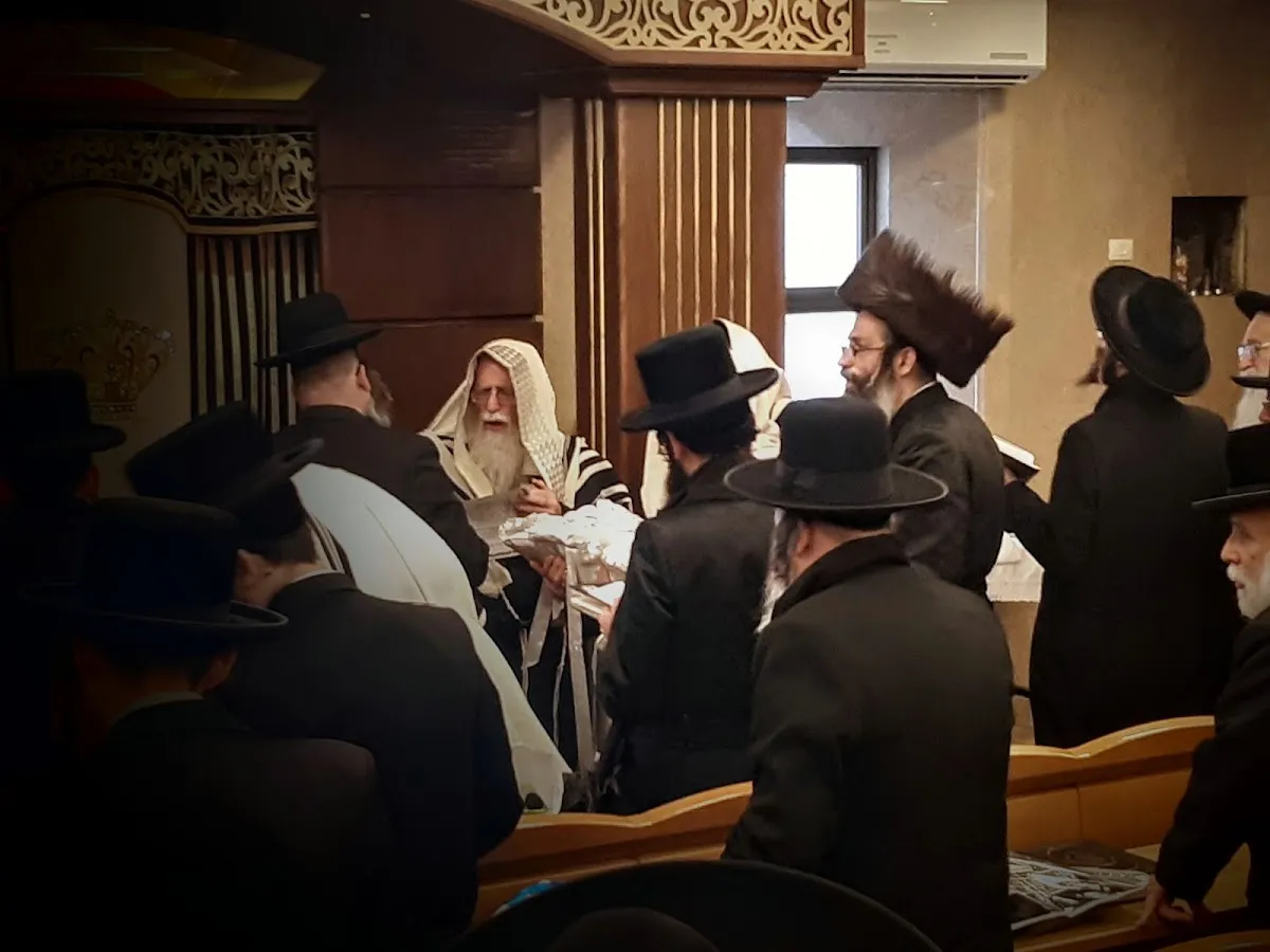 Sanz Synagogue (Rabbi Weiss) — foto 4