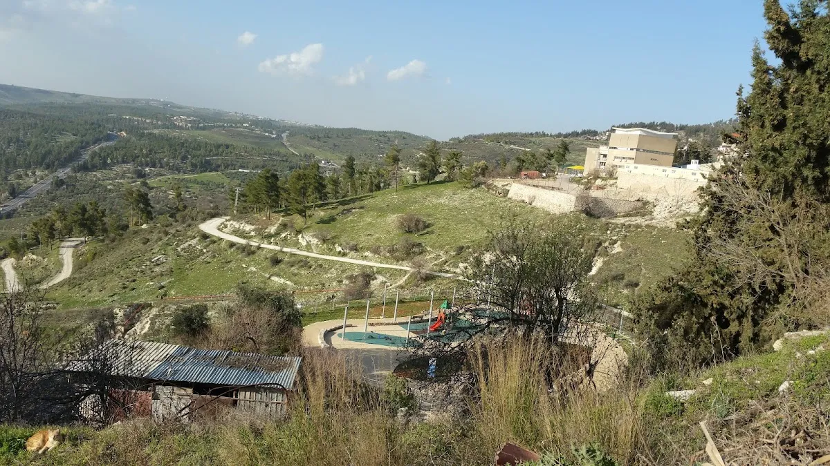 Sanz Synagogue — foto 7