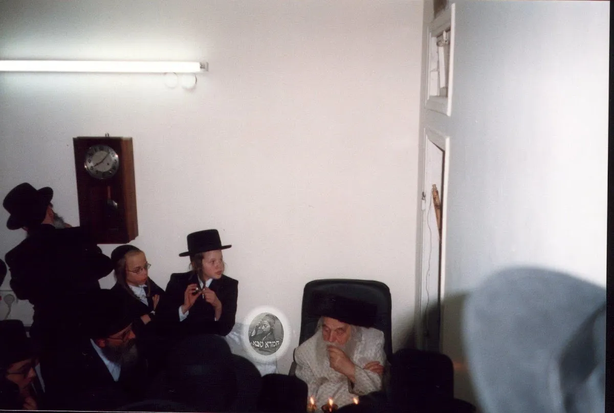 Sanz Zmigrod Synagogue — foto 6