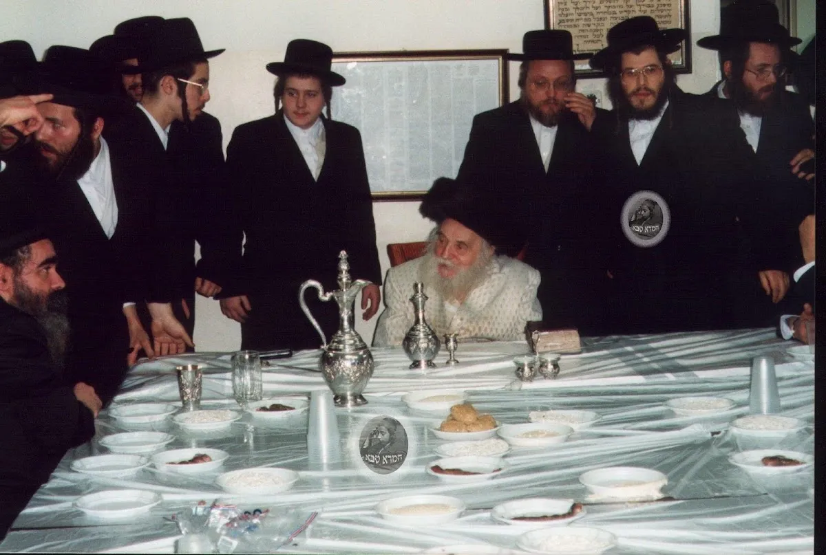 Sanz Zmigrod Synagogue — foto 7