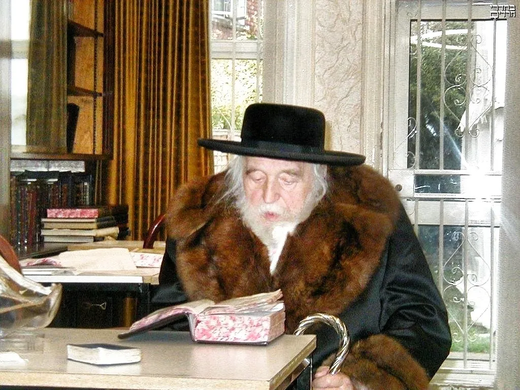 Sanz Zmigrod Synagogue — foto 8