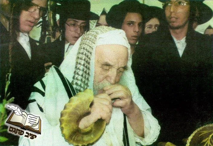Sanz Zmigrod Synagogue — foto 10