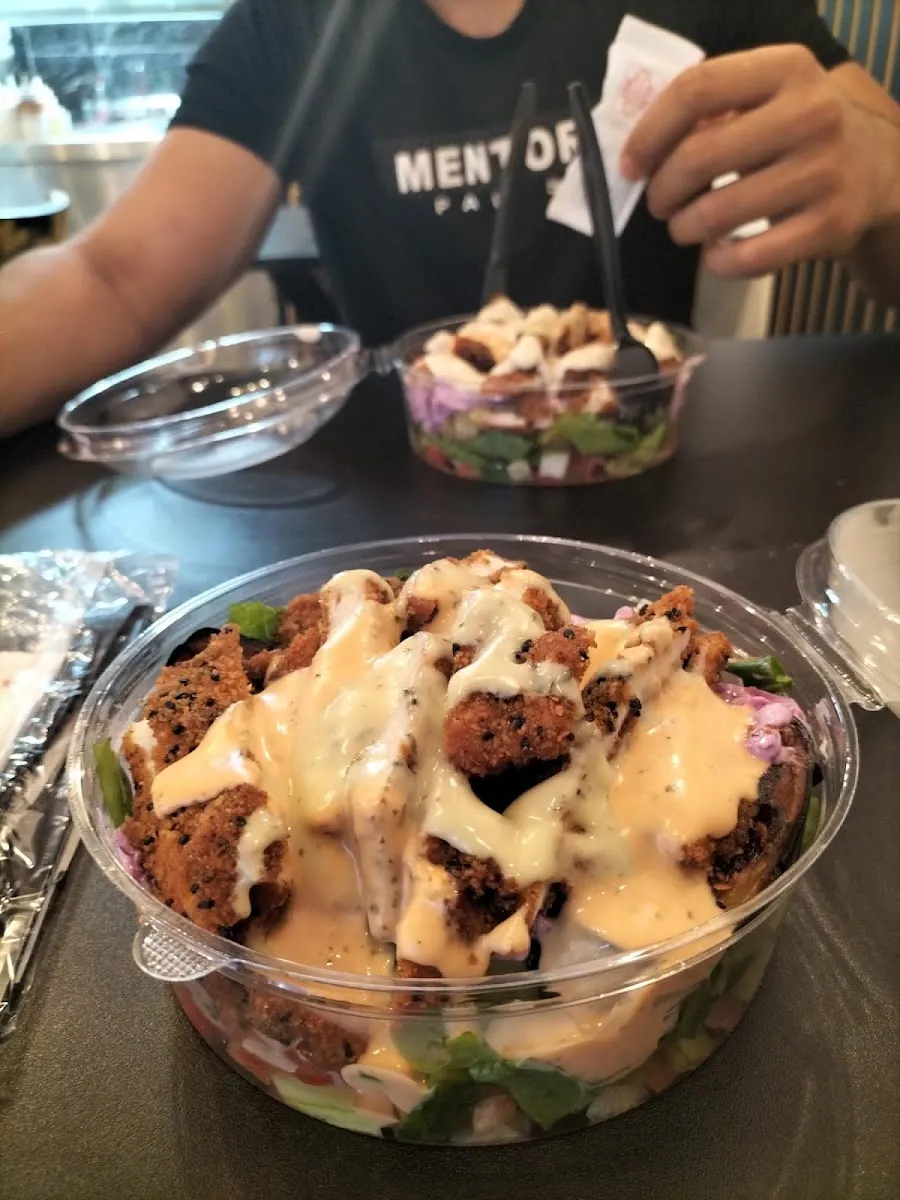 Schnitzel Chef — foto 4