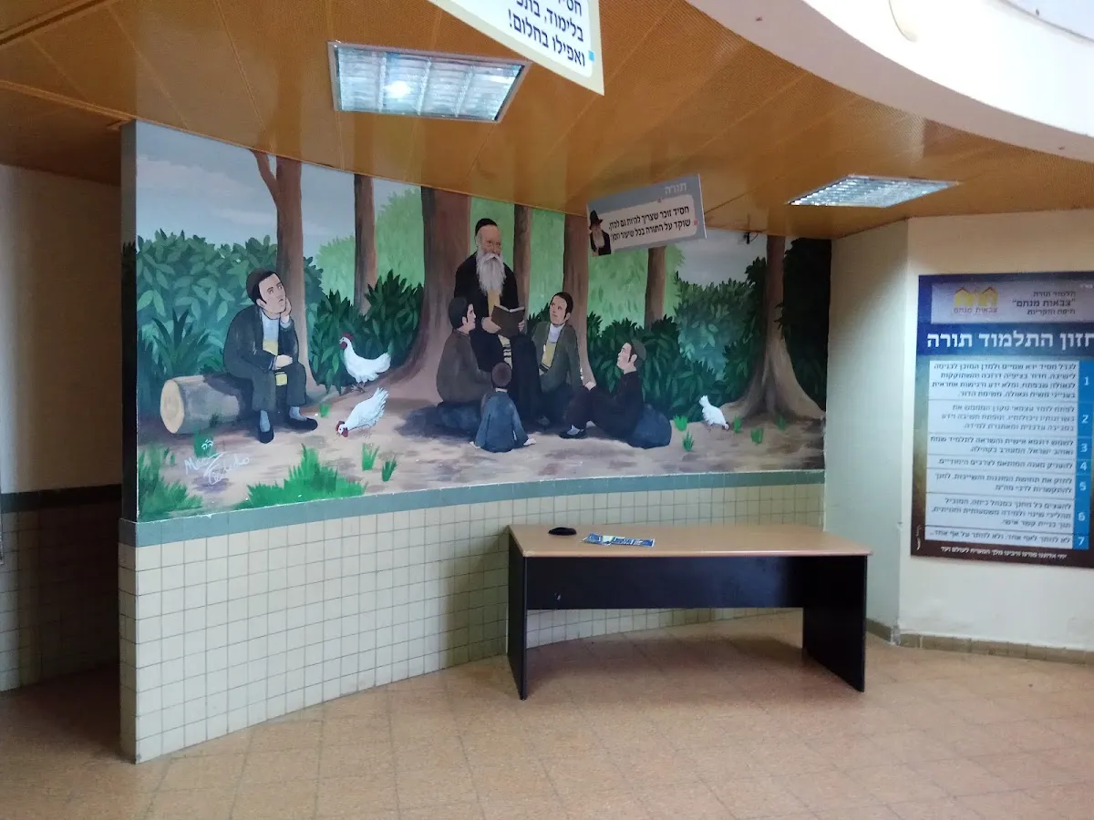 School Talmud Torah Chabad, Menachem armies — foto 4