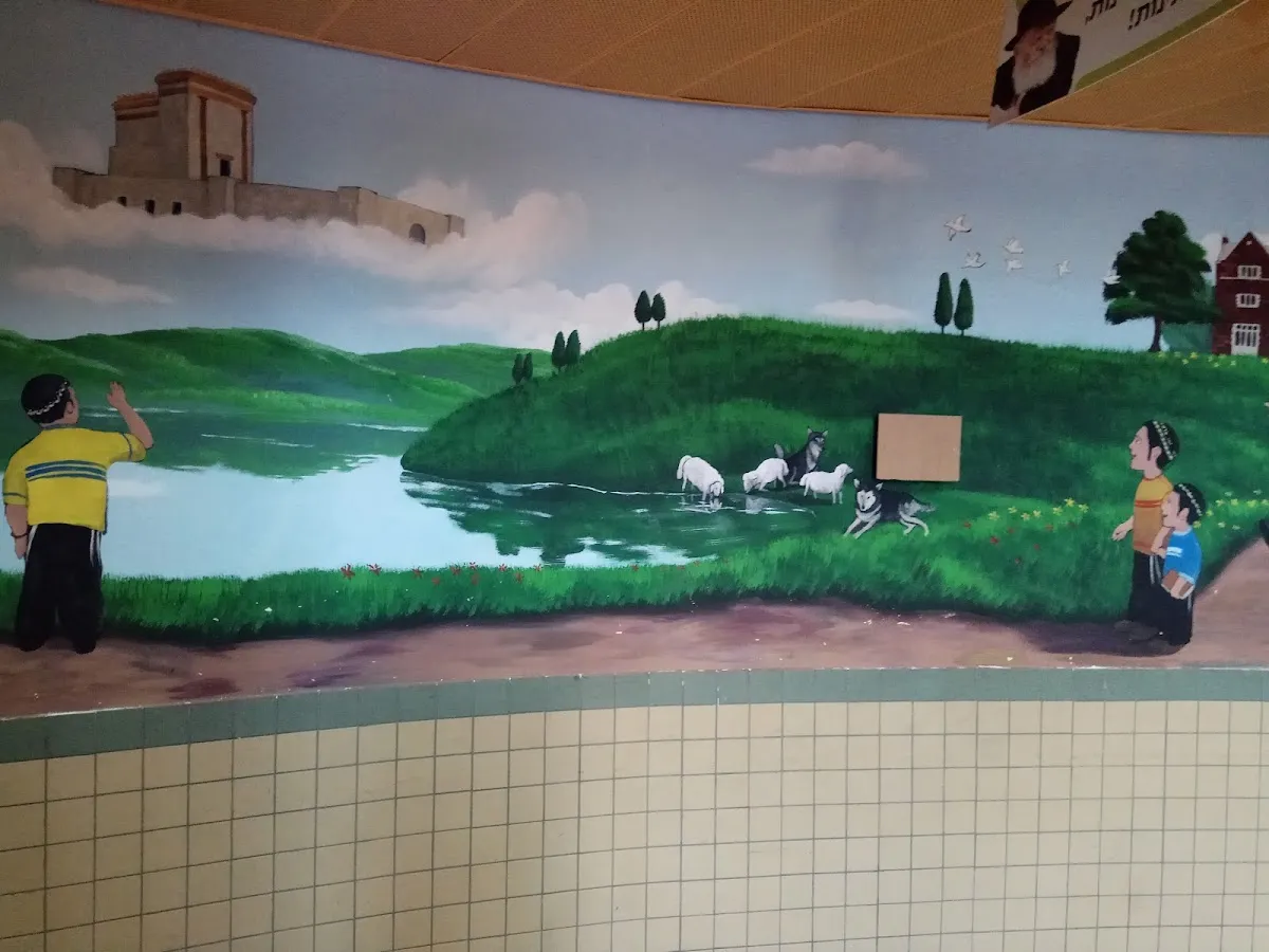 School Talmud Torah Chabad, Menachem armies — foto 8