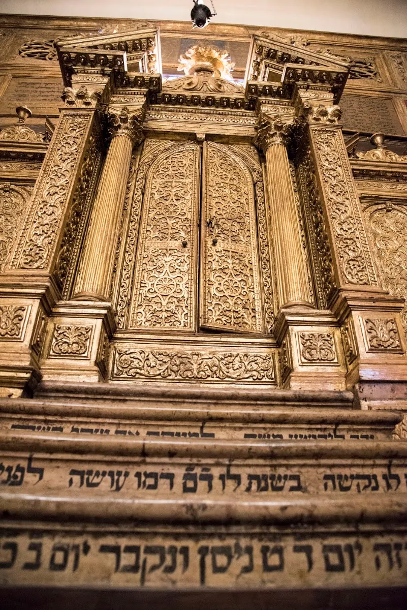 Scola Canton — photo 5