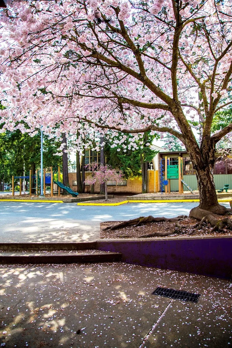 Seattle Jewish Community School — foto 3