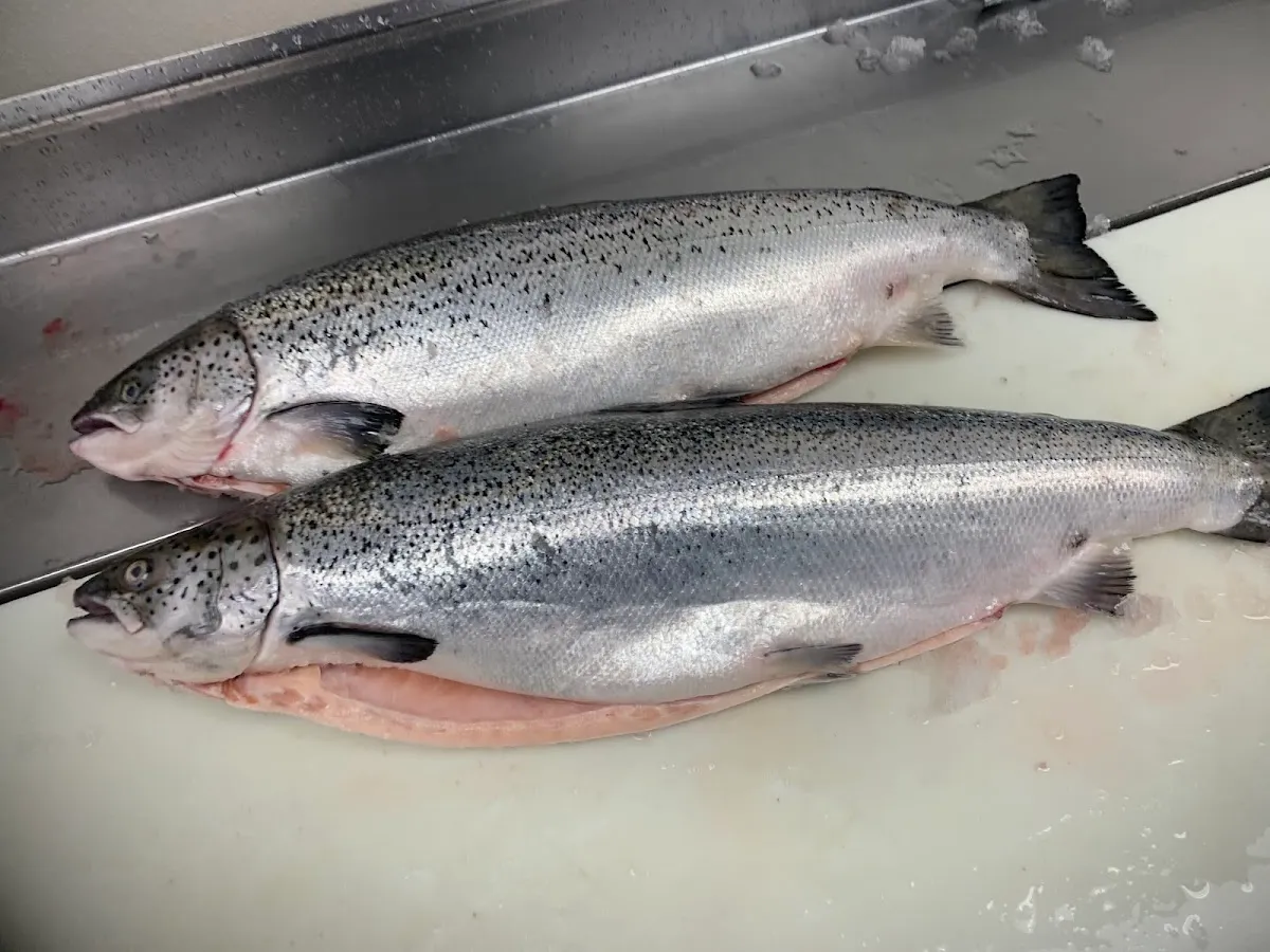Sexton's Seafood Birmingham — photo 4