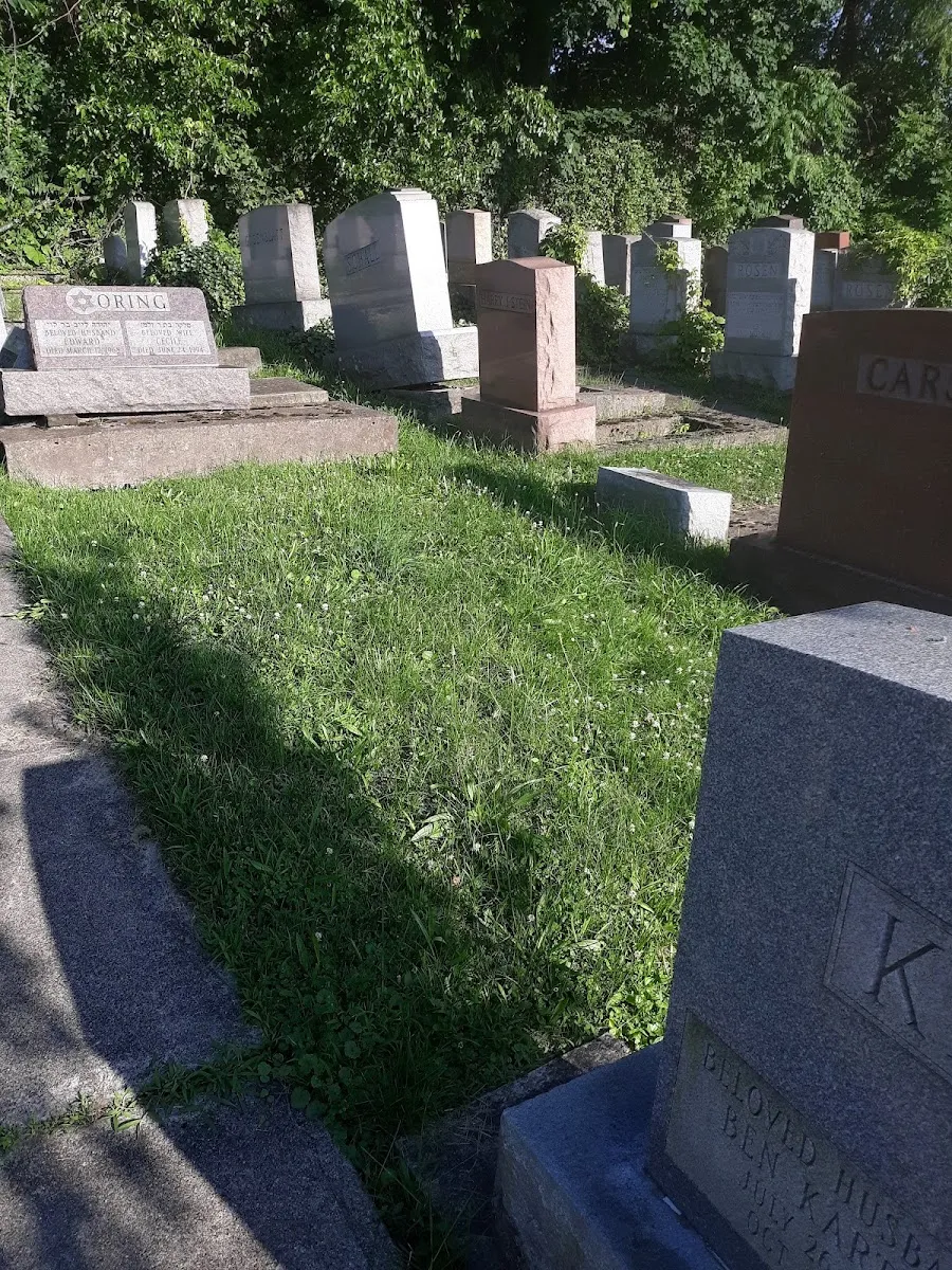 Shaare Torah Cemetery — foto 6