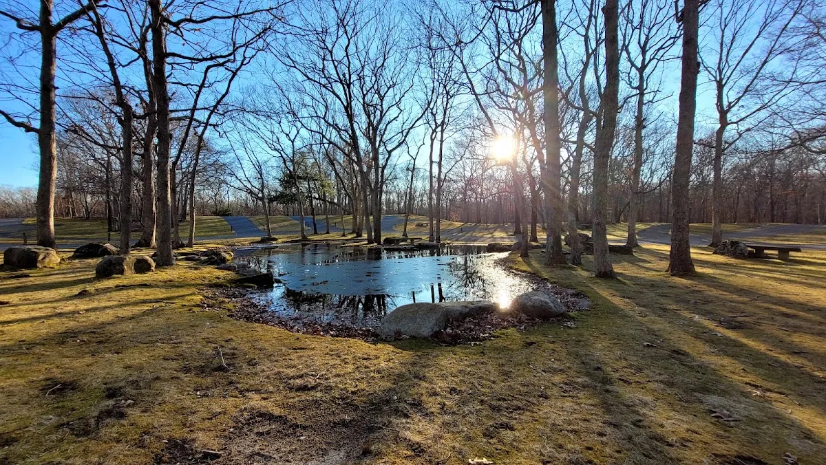 Shaarey Pardes Accabonac Grove — photo 2
