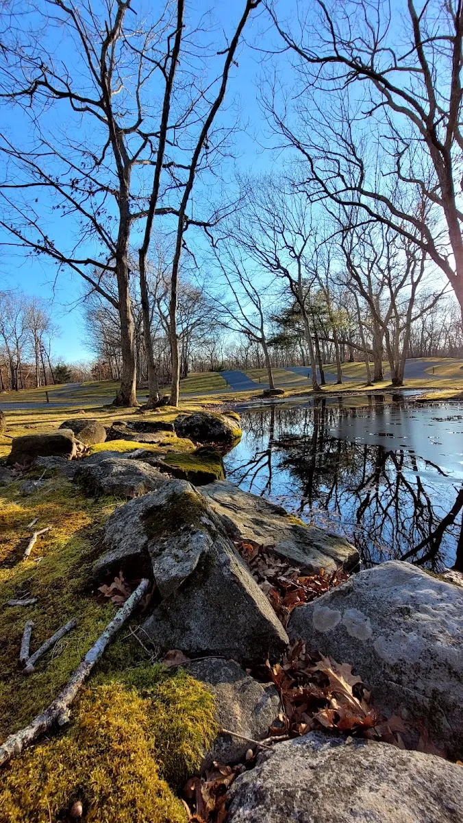 Shaarey Pardes Accabonac Grove — photo 6