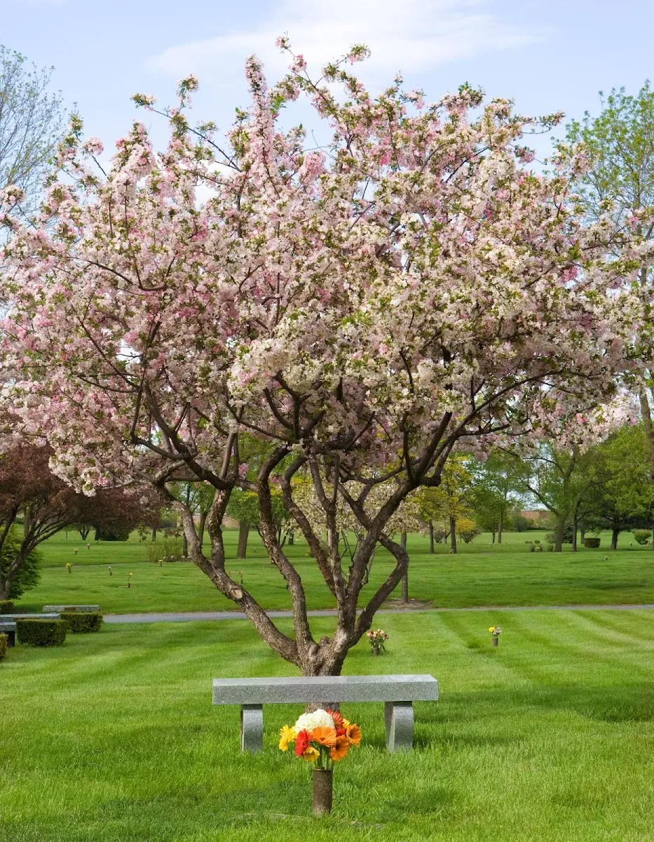 Shalom Memorial Park Jewish Funeral Home — foto 4