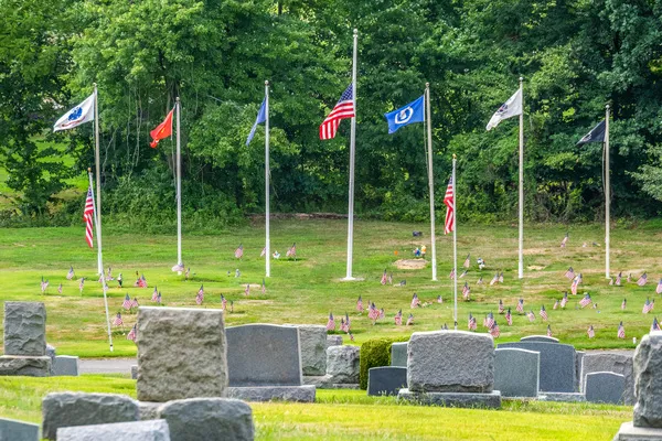 Shalom Memorial Park — photo 4
