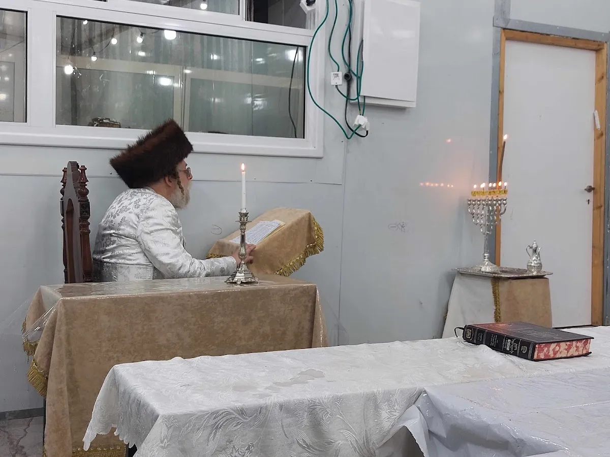 Shatz Drohobych Synagogue — foto 6