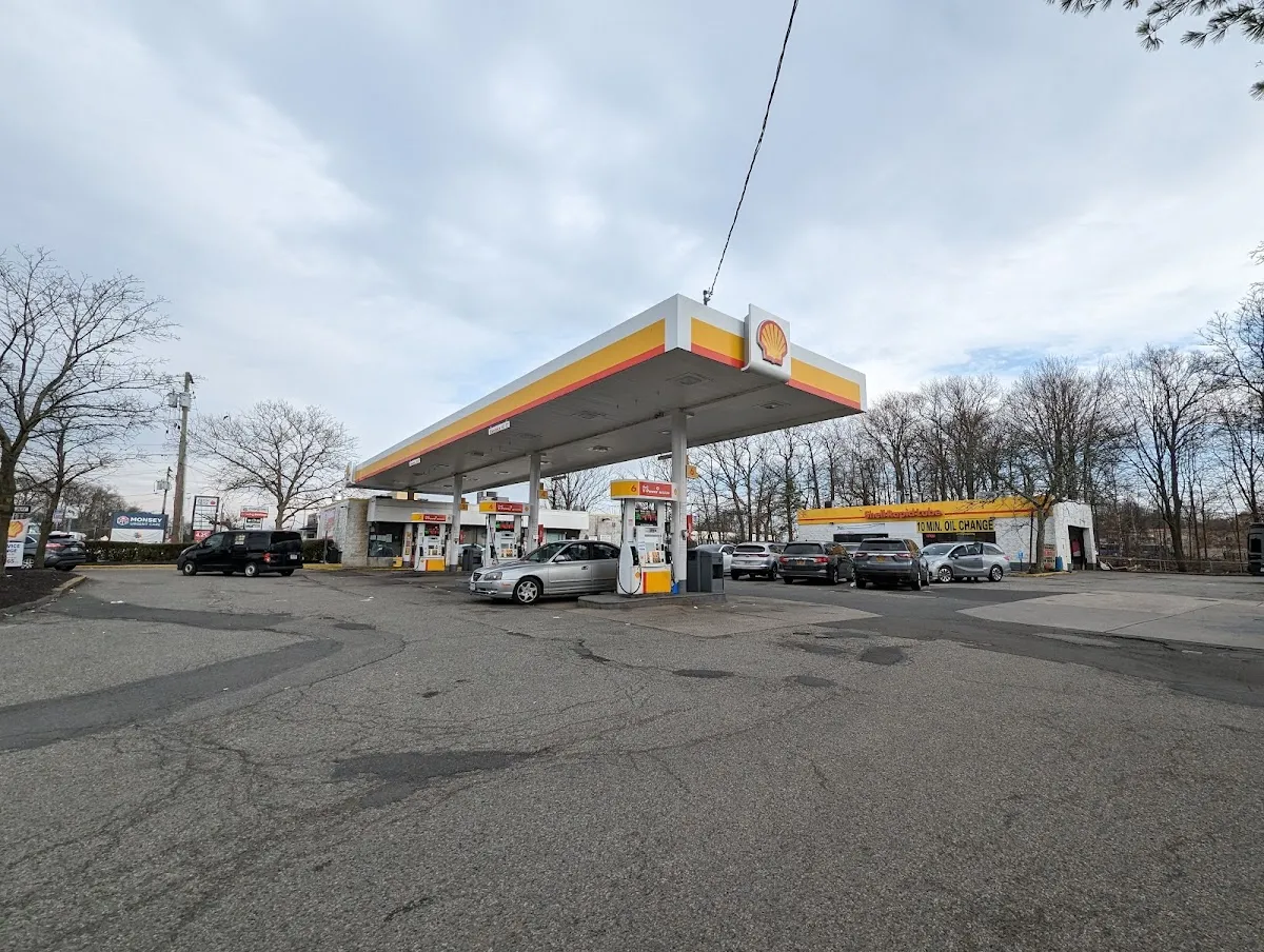 Shell — photo 7