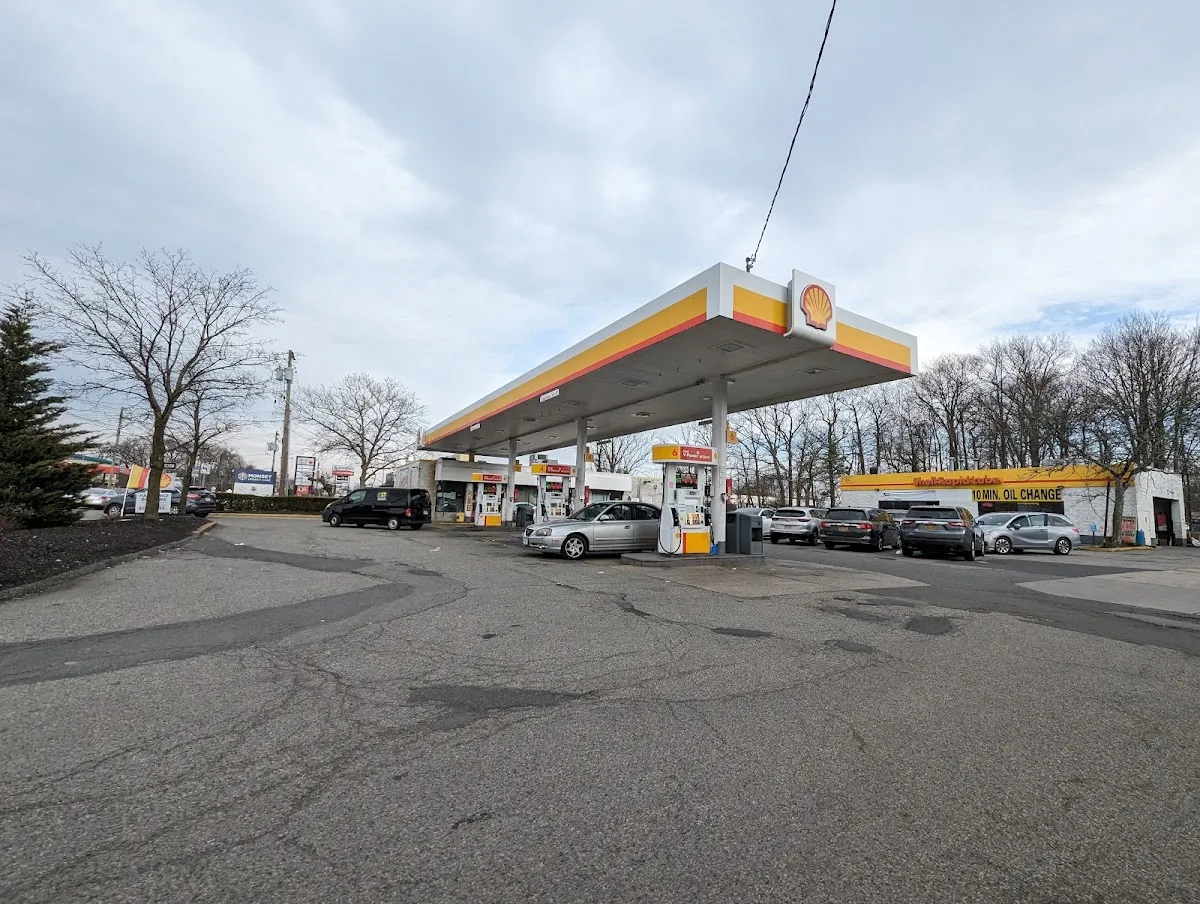 Shell — photo 9