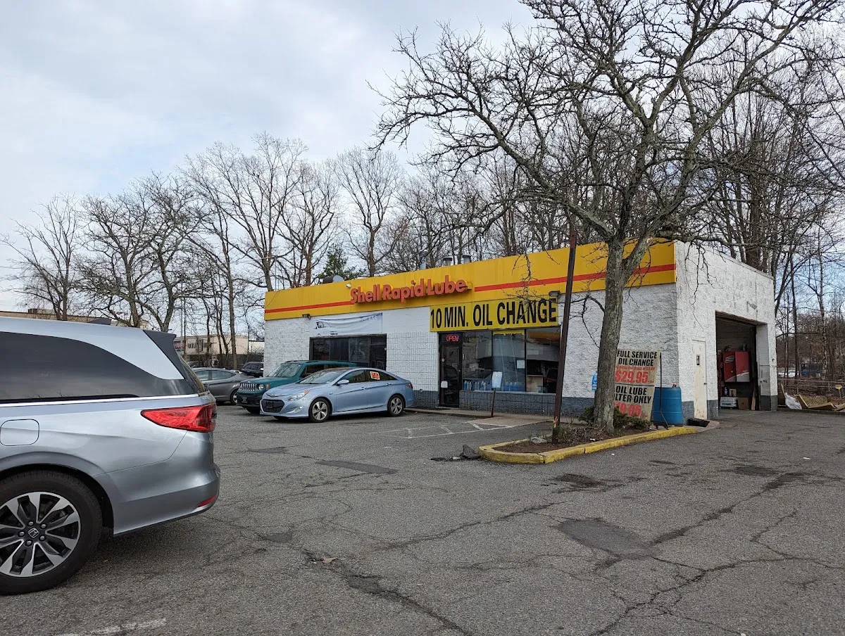 Shell — photo 10
