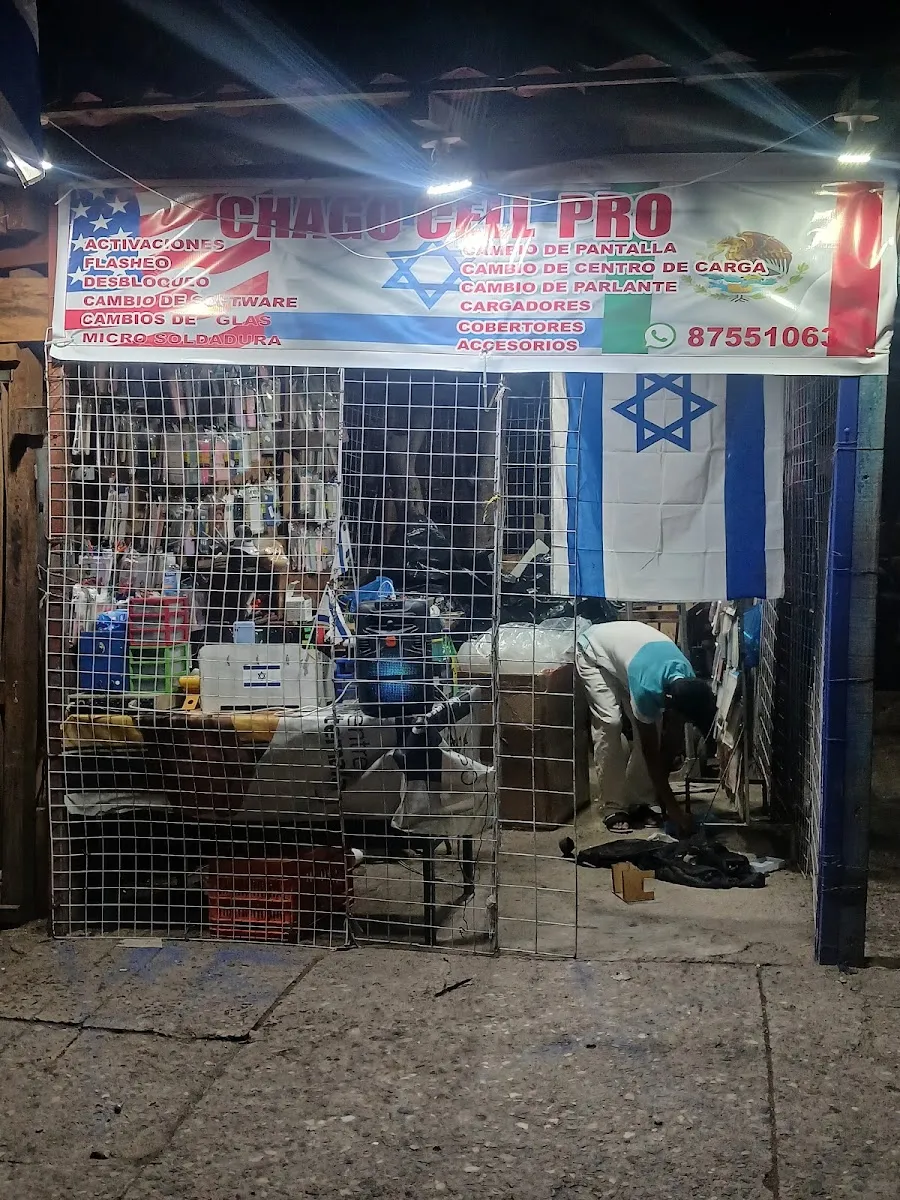Shevet Ajim Synagogue — foto 10