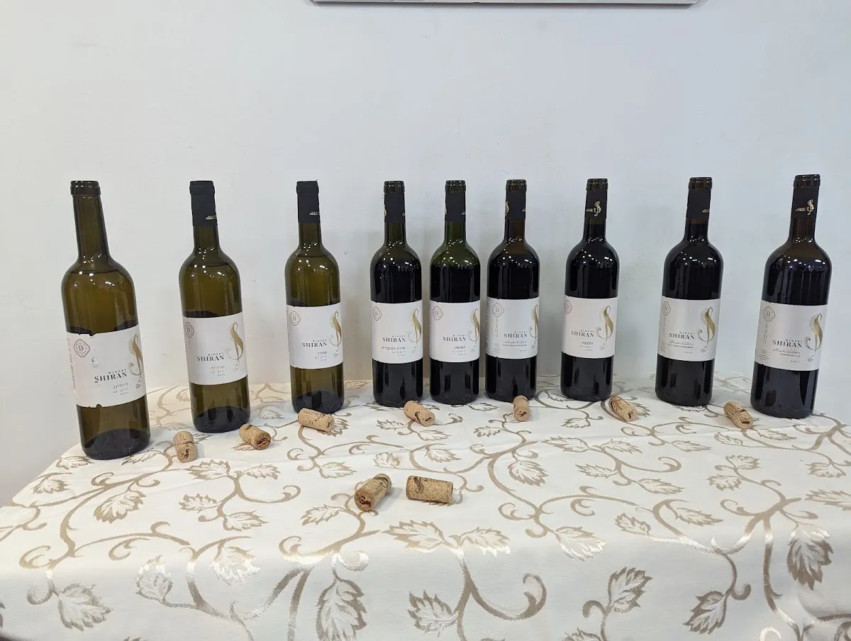 Shiran Winery — foto 6