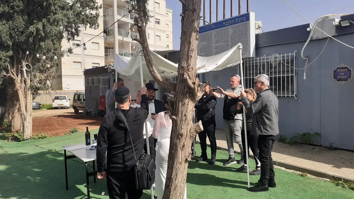 Shirat Tzion Synagogue (Kehilat HaPark) — foto 5