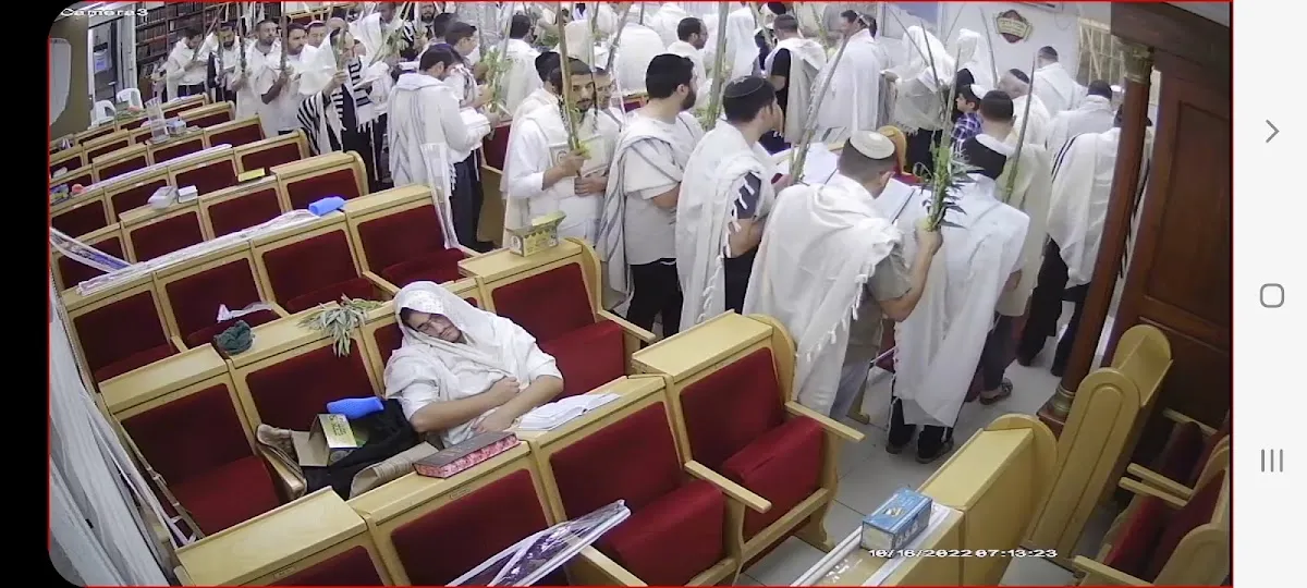 Shirat Tzion Synagogue (Kehilat HaPark) — foto 10