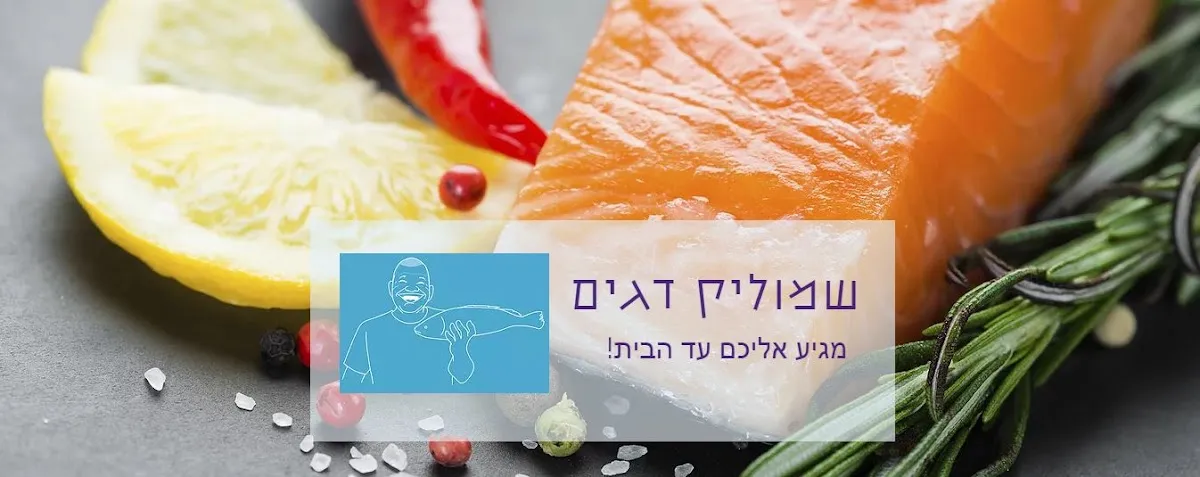 Shmulik Dagim — photo 8