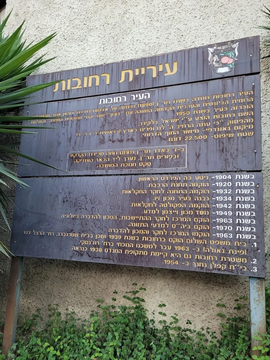 Shoneh Halachot Synagogue — foto 9
