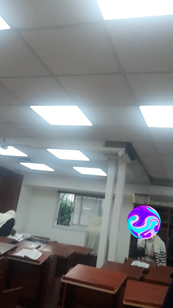 Shoneh Halachot Synagogue — foto 5