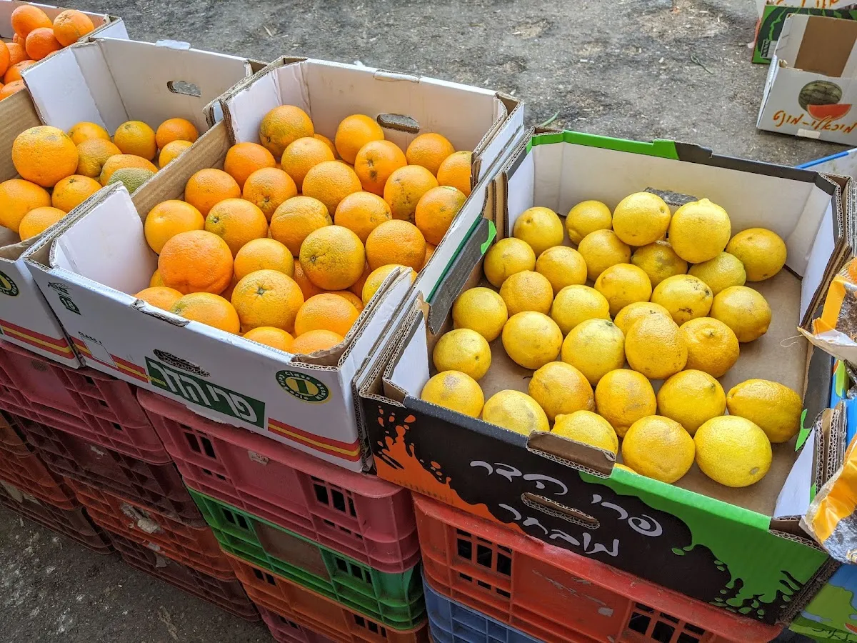Shuk Romema Peirot veYerakot — foto 5