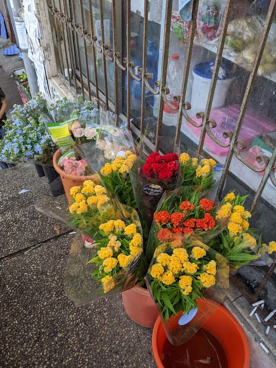 Shuk Romema Peirot veYerakot — foto 7