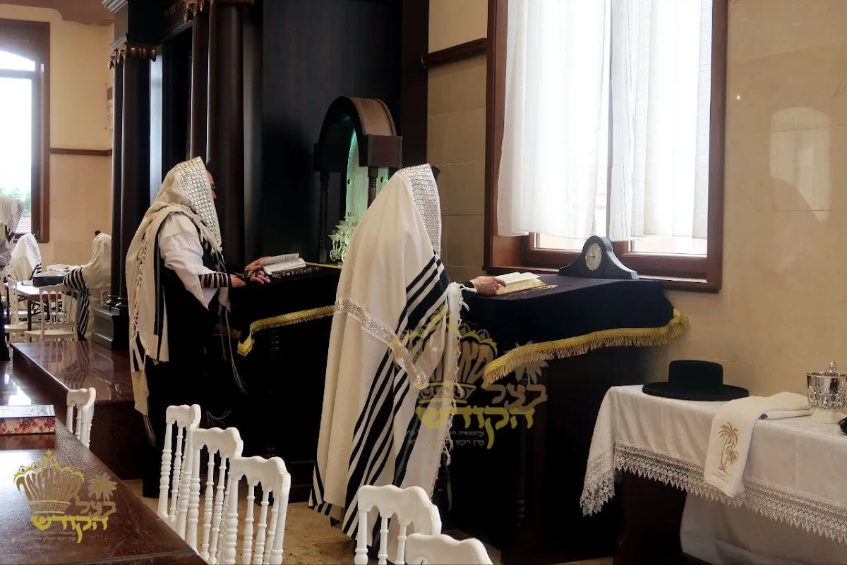 Shul-Hoif de Sighet — photo 8