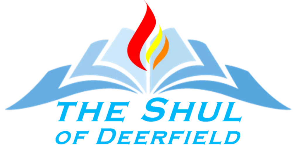 Shul of Deerfield — photo 3