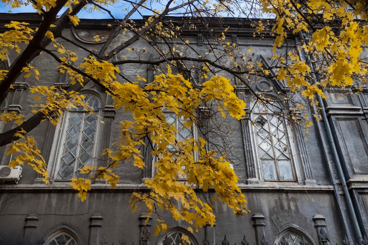 Sinagoga Brodsky de Odesa — foto 5