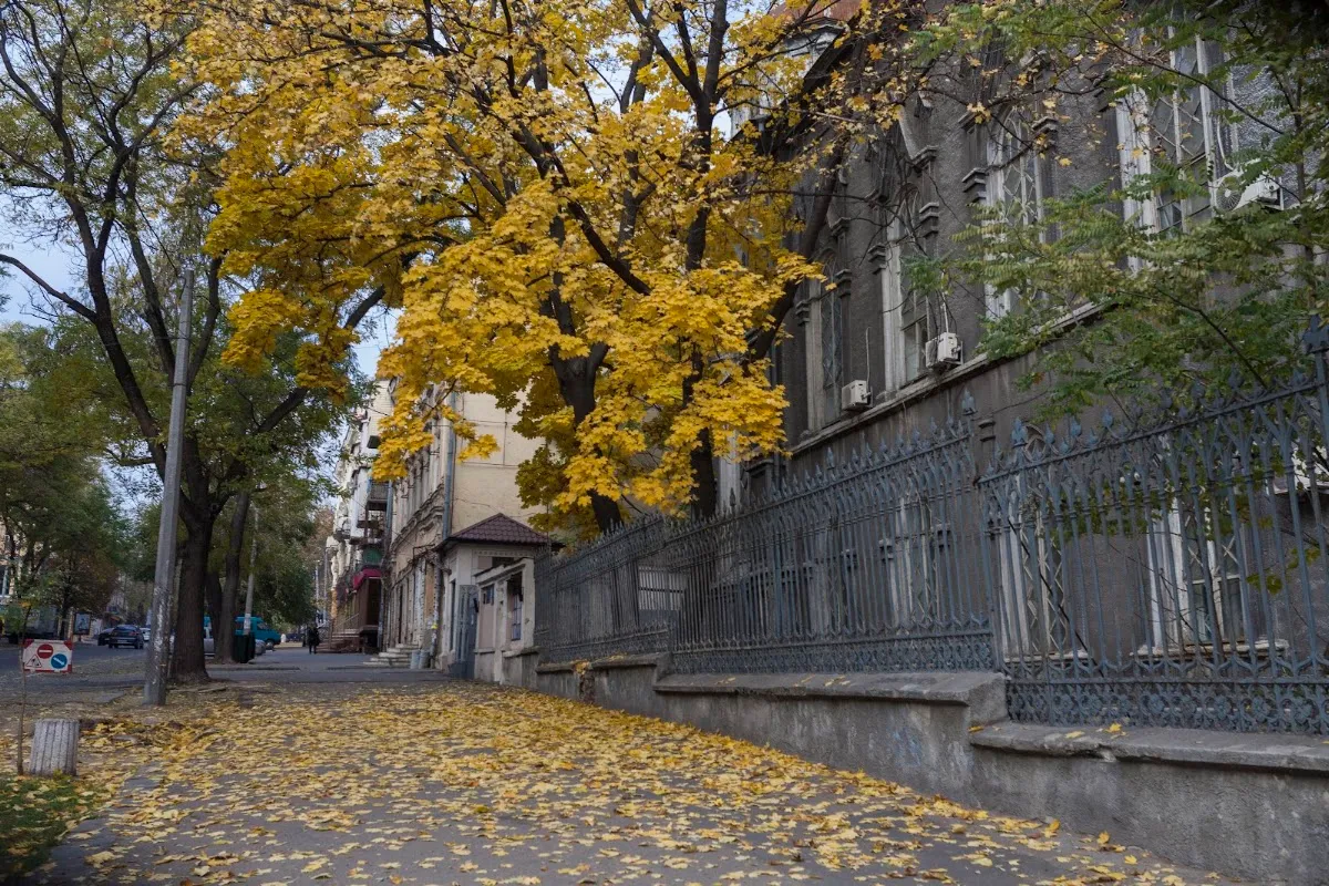 Sinagoga Brodsky de Odesa — foto 10