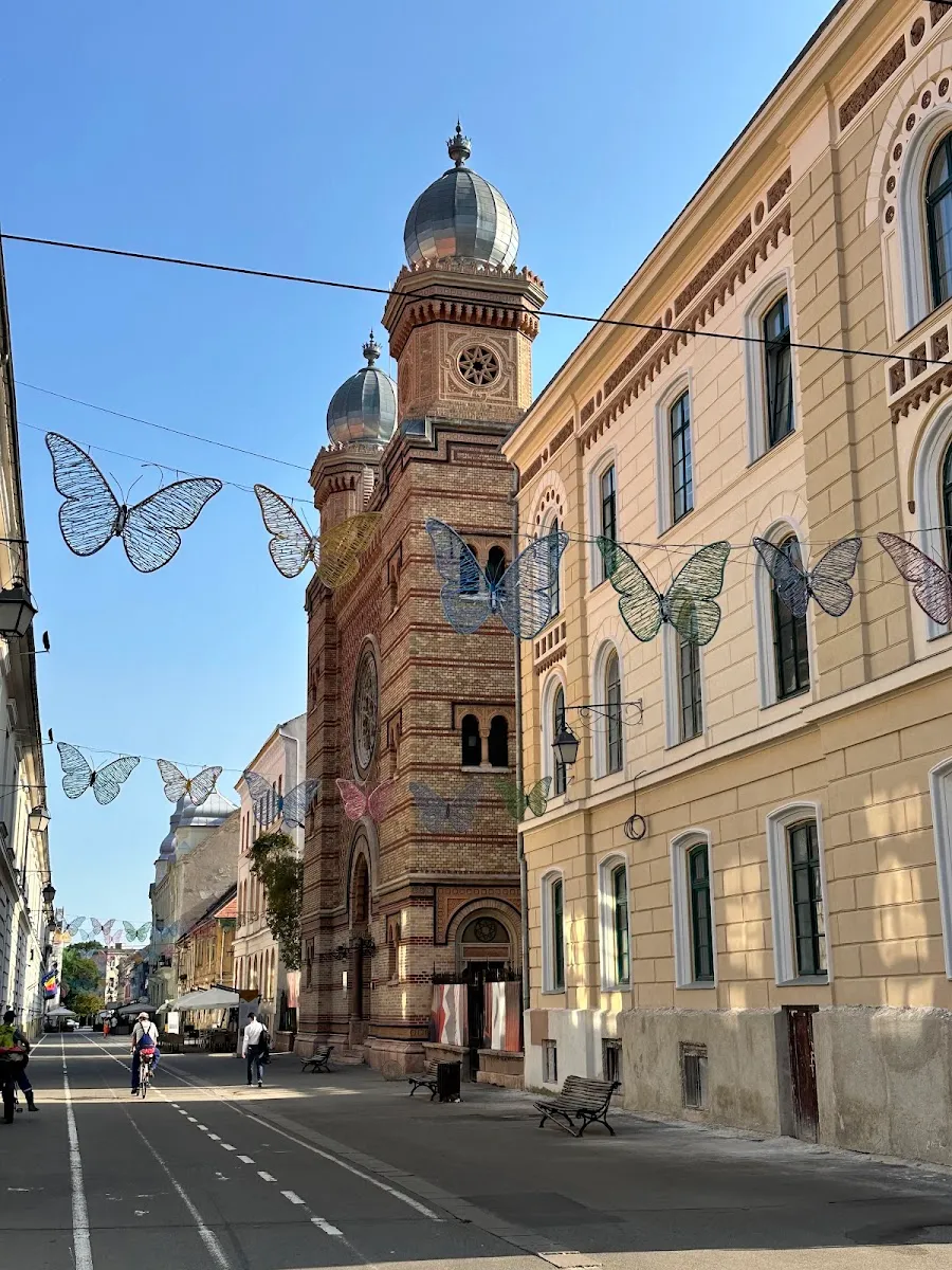 Sinagoga de la Ciudadela de Timișoara — foto 7