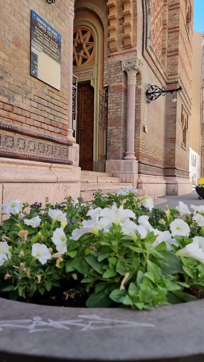 Sinagoga de la Ciudadela de Timișoara — foto 10