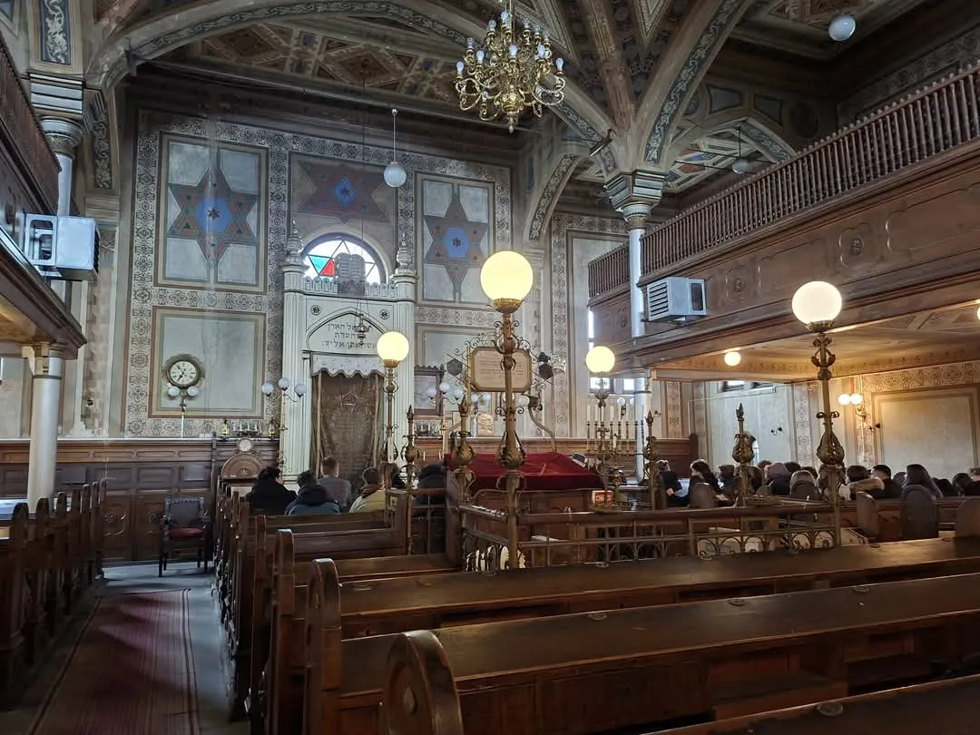 Sinagoga Iosefin de Timișoara — photo 3