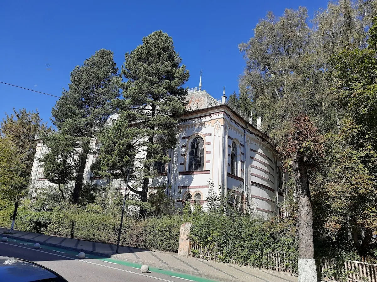 Sinagoga Luceafărul de Vatra Dornei — photo 2