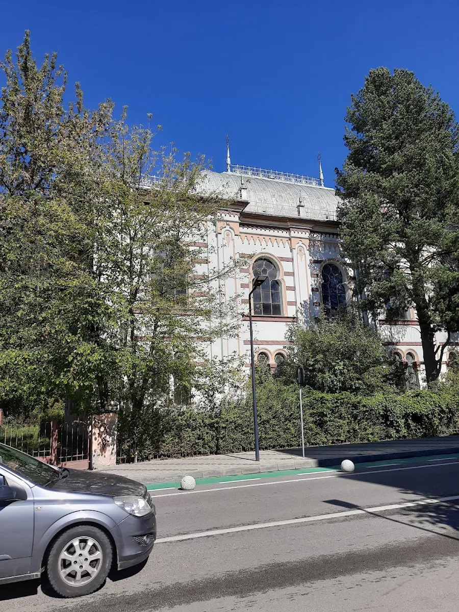 Sinagoga Luceafărul de Vatra Dornei — photo 4
